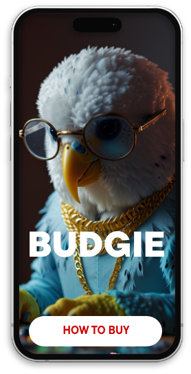 How to buy BUDGIE